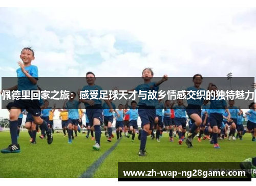 佩德里回家之旅：感受足球天才与故乡情感交织的独特魅力