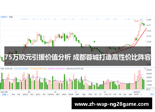 75万欧元引援价值分析 成都蓉城打造高性价比阵容