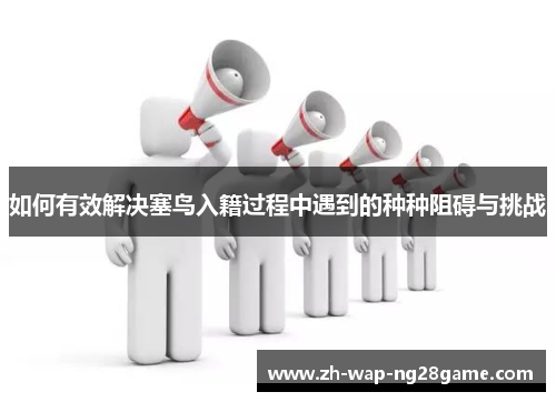 如何有效解决塞鸟入籍过程中遇到的种种阻碍与挑战