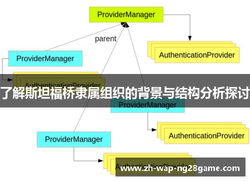 了解斯坦福桥隶属组织的背景与结构分析探讨