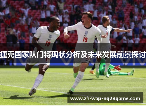 捷克国家队门将现状分析及未来发展前景探讨