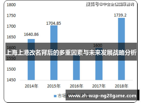 上海上港改名背后的多重因素与未来发展战略分析