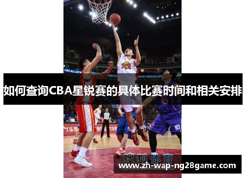 如何查询CBA星锐赛的具体比赛时间和相关安排