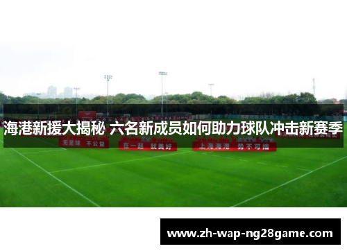 海港新援大揭秘 六名新成员如何助力球队冲击新赛季