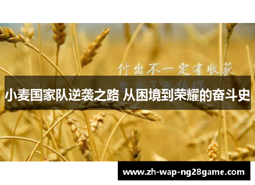 小麦国家队逆袭之路 从困境到荣耀的奋斗史