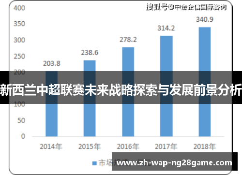 新西兰中超联赛未来战略探索与发展前景分析 新西兰中超联赛未来战略探索与发展前景分析