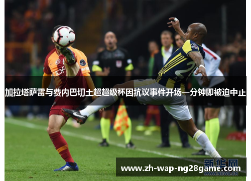 加拉塔萨雷与费内巴切土超超级杯因抗议事件开场一分钟即被迫中止 加拉塔萨雷与费内巴切土超超级杯因抗议事件开场一分钟即被迫中止