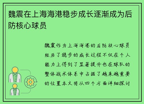 魏震在上海海港稳步成长逐渐成为后防核心球员